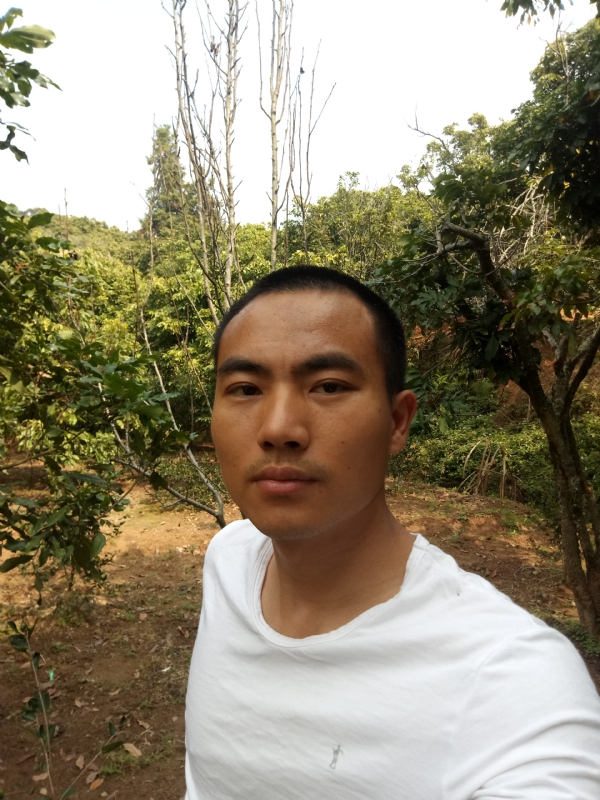 简单的第一张照片--闽清征婚网