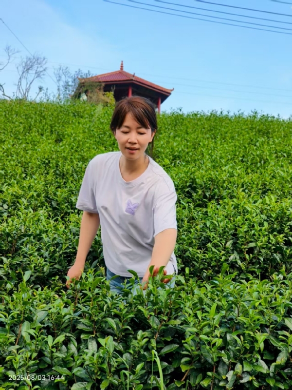Q绮芳的第一张照片--闽清征婚网